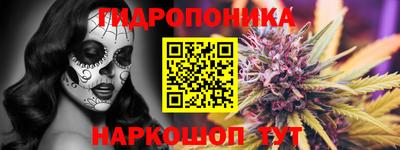 гидропоника Кингисепп