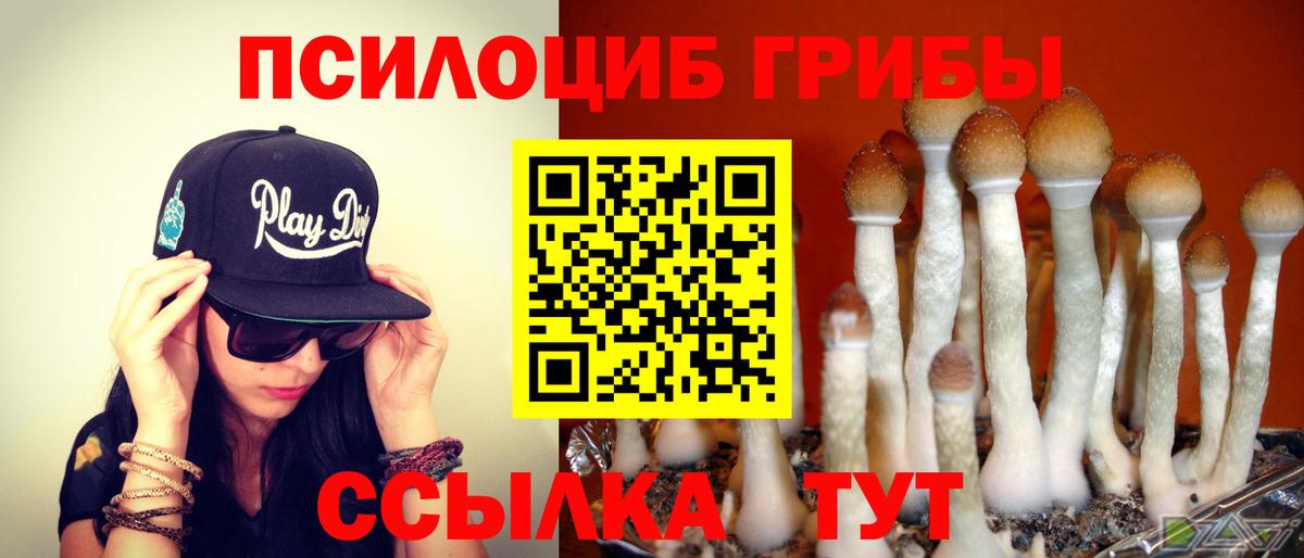 Галлюциногенные грибы MAGIC MUSHROOMS  Вход с VPN  Азов 